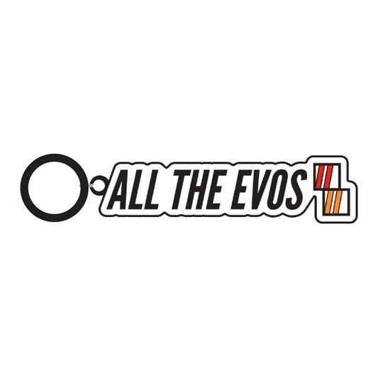 All The Evos Keychain